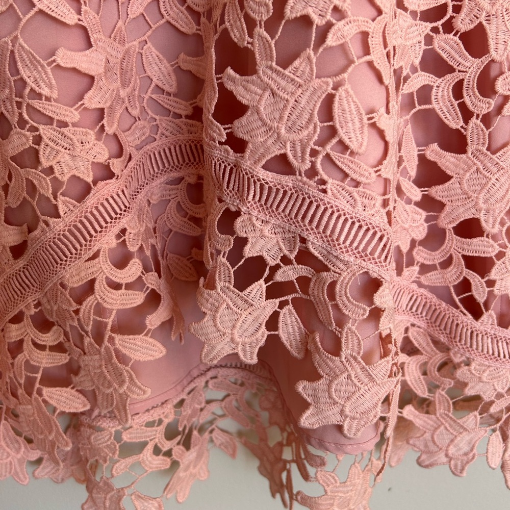 Eliza J Blush Lace Detail Dress - Picture 4 of 6